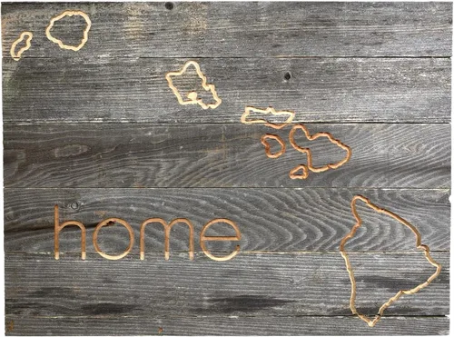 Vista 58 de Letrero de madera rústica de Alabama para casa de campo, decoración del hogar de pared estatal, es un gran regalo temático de AL para recién