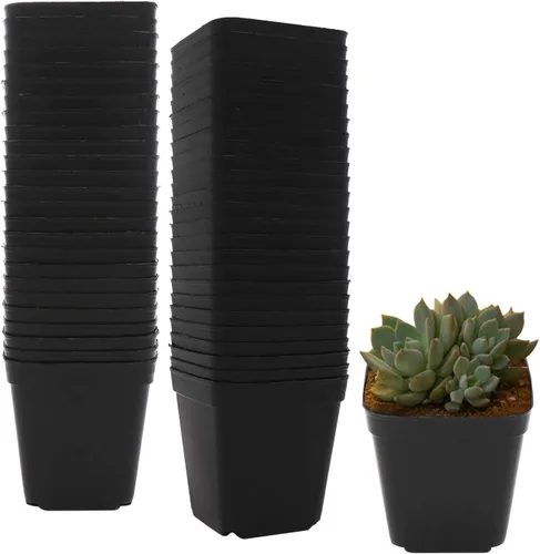 Vista 7 de Macetas de plástico para plantas, paquete de 100 macetas cuadradas para vivero de 2.2 pulgadas, resistentes y reutilizables, contenedor de inicio