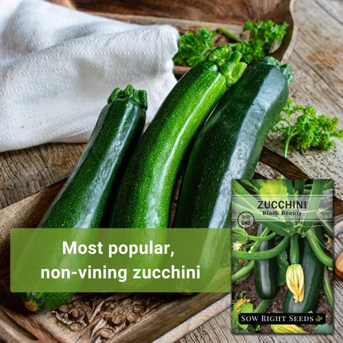 Vista 5 de Sow Right Seeds - Semillas de calabacín Black Beauty para plantar - Paquete de reliquia sin OMG con instrucciones para plantar un huerto doméstico