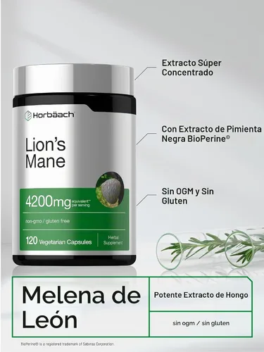 Vista 4 de Horbäach extracto de hongo melena de león 4200mg 120 cápsulas suplemento vegetariano, no transgénico, sin gluten