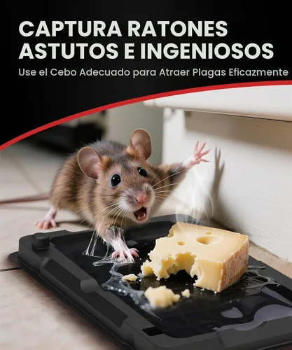 Vista 2 de Wowcatch Trampas adhesivas para ratones para interiores para el hogar, paquete de 12 trampas de pegamento para cucarachas, arañas, lagartos