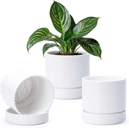Vista 34 de Phoenix Vine 4 Inch Planter Pot with Drainage Hole & Saucer, Deep Water Catch Tray, Straight Cylindrical Round Pot for Plants, Olive, Pack of 1