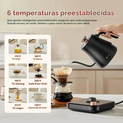 Vista 2 de OLEGA Hervidor eléctrico de cuello de cisne: tetera eléctrica de 1000 W con control de temperatura Hervidor de té eléctrico de acero inoxidable