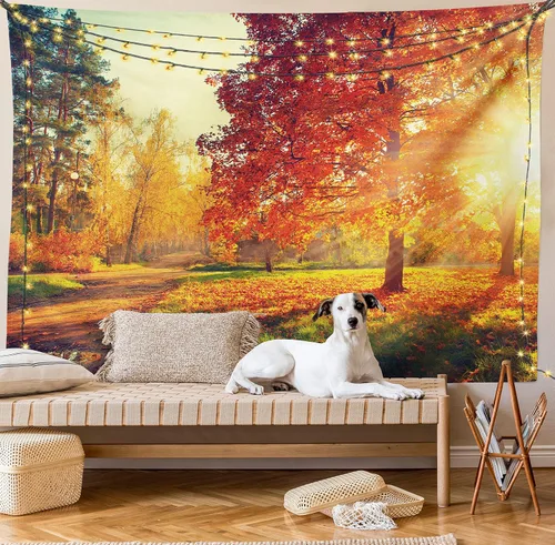 Vista 106 de Ambesonne Tapiz bohemio, diseño floral de bruja, luna y mariposa con adornos de mandala, decoración de tela para colgar en la pared para dormitorio