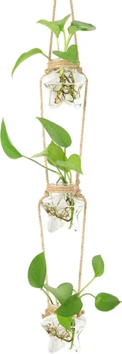 Vista 9 de XXXFLOWER Estación de propagación para colgar en la pared, florero de cristal en forma de estrella de 2 niveles para maceta hidropónica, terrario