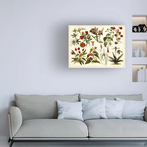 Vista 3 de Trademark Fine Art, Tabla de botánica tropical Ii de 18x24 pulgadas por Meyers