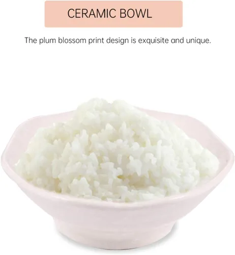Vista 5 de Hemoton Juego de vajilla japonesa de cerámica de 6 piezas para uso doméstico individual, incluye plato, taza, plato, cuchara, palillos de 7.28