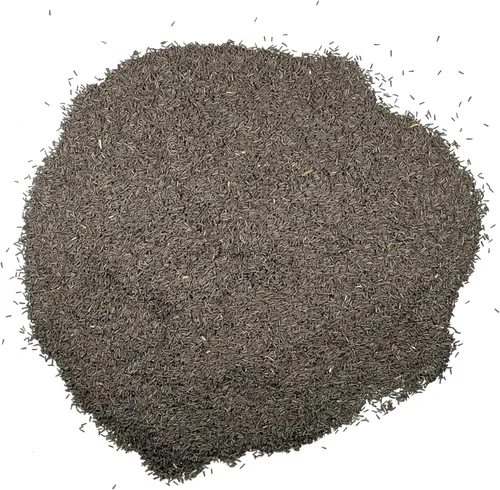 Vista 7 de Seed Needs - Semillas de flores para plantar Black Eyed Susan, paquete a granel de 1.5 onzas