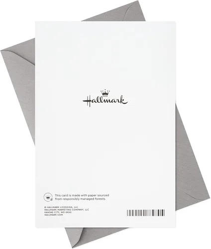 Vista 6 de Hallmark Tarjetas de graduación, día del diploma (10 tarjetas con sobres)