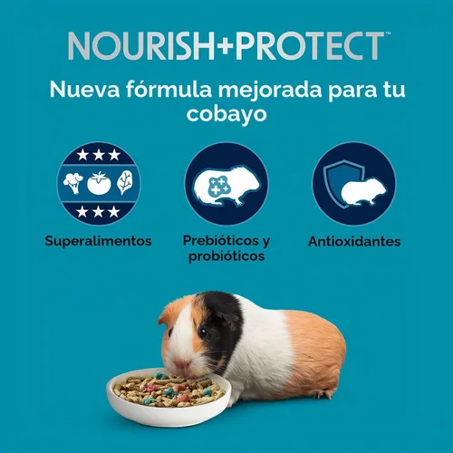Vista 3 de Alimento Kaytee para cobayas modelo Forti Diet Pro Health Supports digestive health. Daily food for guinea pigs. Guinea pig pellets, prebiotics