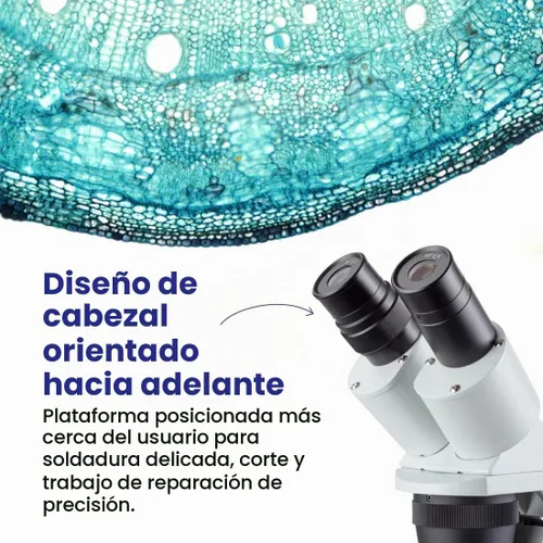 Vista 4 de AmScope Microscopio estéreo binocular compacto de múltiples lentes serie SE306 - 20X-40X aumento - Microscopio robusto montado hacia adelante