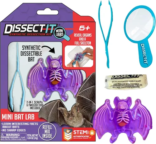 Vista 13 de Discover-It Kit de disección para niños, kit de laboratorio científico de ámbar sintético para aprender sobre insectos, juguetes científicos