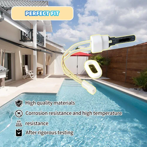Vista 4 de 77707-0054 Kit de juntas y lgniter para piscina Pentair Sta-Rite Max-E-Therm MasterTemp Pool 125 175 200 250 300 333 400