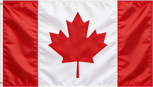 Vista 62 de Bandera de Estados Unidos, bandera de Estados Unidos, 3 x 5 pies, banderas ligeras de poliéster con 2 ojales de latón para decoraciones de fiestas