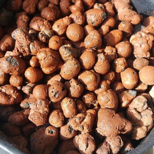 Vista 2 de Hydro Clay Pebbles (Leca Stones) Orquídea/Medios de cultivo hidropónicos - 2 libras por PowerGrow Systems