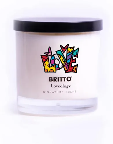 Vista 4 de Britto Romero - Vela grande con aroma Loveology – Vela clásica de verano de una sola mecha de 12 onzas con más de 110 horas de tiempo de combustión