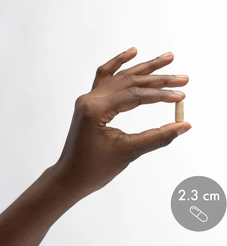 Vista 7 de Dr. Mercola Probióticos completos para mujeres, apoya la salud intestinal, vaginal e inmunológica, contiene cepas de Lactobacillus, sin OMG, sin