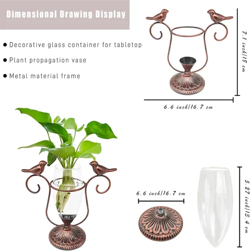 Vista 3 de Paquete de 2 Terrarios de Plantas de Escritorio, Jarrón de Vidrio con Arte de Pájaros para Propagación, Macetas de Propagación con Marco de Metal