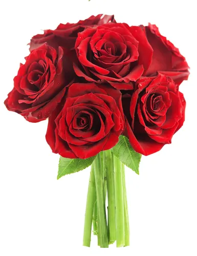 Vista 23 de KaBloom - Rosas arcoíris (media docena)- Flores frescas para cumpleaños, San Valentín y Día de la Madre