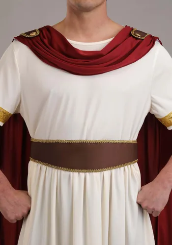 Vista 5 de Disfraz de Emperador Romano para Hombre Multicolor