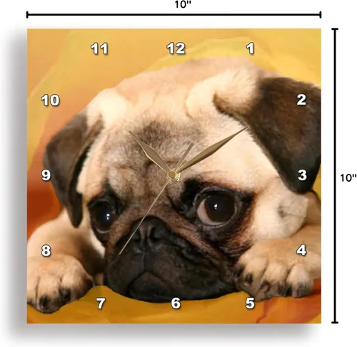 Vista 9 de 3drose Reloj de pared Pug, 10 x 10 pulgadas
