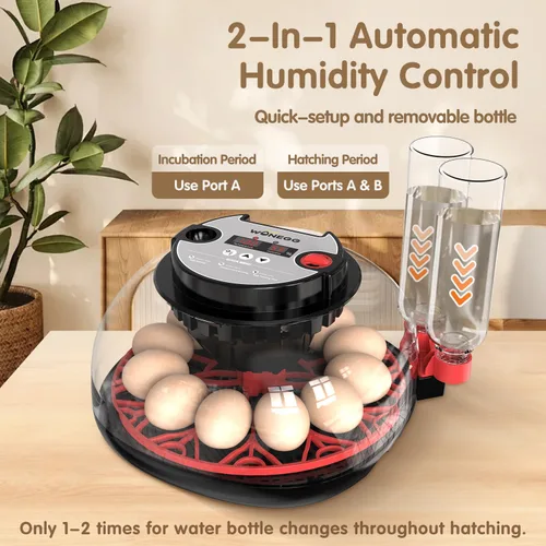 Vista 3 de Incubadoras para huevos para incubar huevos, 12 huevos con giro automático de huevos y control de humedad, visualización de 360° para pollo, patos
