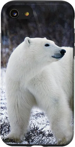 Vista 18 de Polar Bears Animal Nature Case for iPhone 17