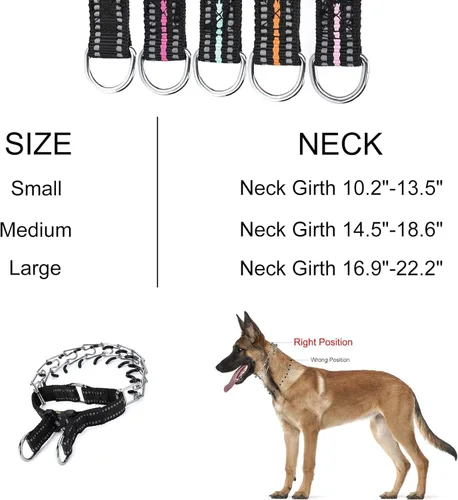 Vista 6 de Collar de entrenamiento ajustable para perros con punta de goma cómoda y hebilla de liberación rápida para perros pequeños, medianos y grandes