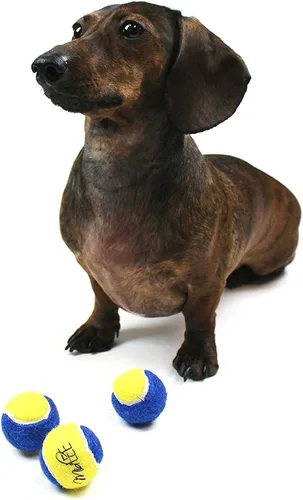 Vista 3 de Midlee Pelotas de tenis para perros XS, 1.5 pulgadas, azul/amarillo, paquete de 12