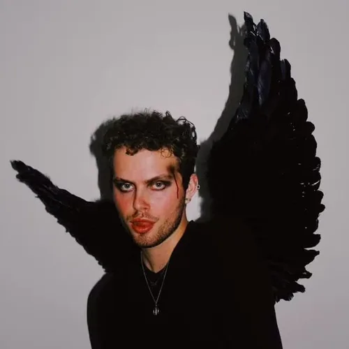 Vista 2 de Plumas de pavo y ganso, disfraz de alas de ángel, fiesta, fotografía, divertido vestido de ala de ángel