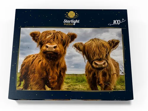 Vista 4 de MyPuzzle Two Highland Cows - Rompecabezas prémium de 100 piezas para adultos