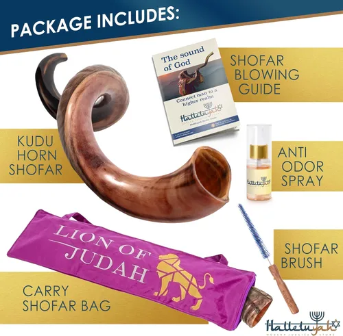 Vista 6 de HalleluYAH Kudu Shofar medio pulido Kosher original De Israel