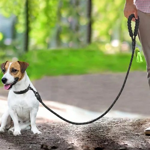 Vista 5 de Dynmeow - Juego de collar y correa reflectante para perro, correa de cuerda de escalada resistente de 6 pies con mango acolchado, collar ajustable