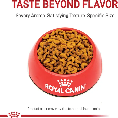 Vista 2 de Royal Canin Feline Breed Nutrition American Shorthair - Alimento seco para gatos adultos, bolsa de 5.5 libras