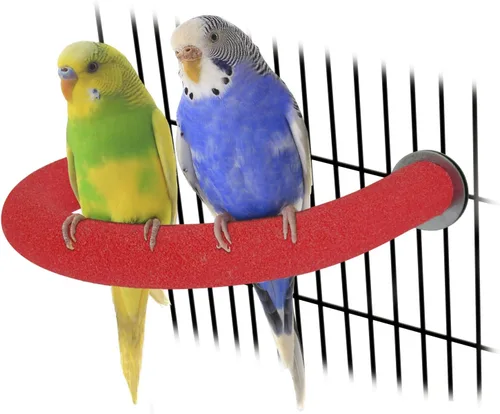 Vista 26 de Rypet Percha para Loros de Superficie Rugosa - Perchas de Arena de Cuarzo para Jaula de Pájaros para Pequeños Periquitos, Cacatúas, Conures