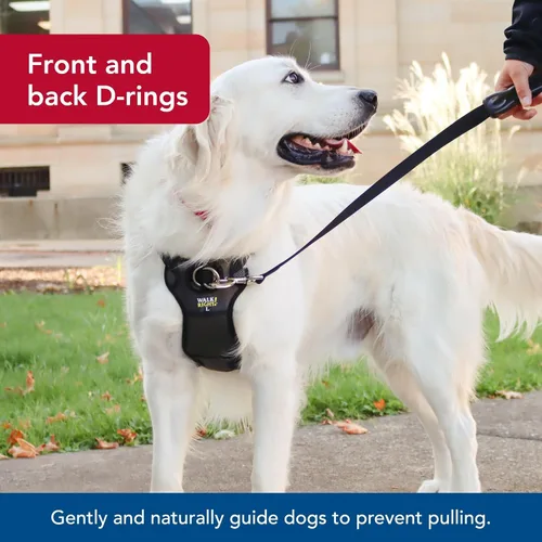 Vista 5 de Coastal Pet Walk Right - Arnés acolchado para perro con conexión frontal y sin tirones, ajustable y cómodo, ajuste para razas pequeñas y grandes