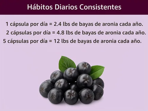 Vista 5 de KOYAH - Cápsulas orgánicas de Aronia, liofilizadas: 60 Cápsulas