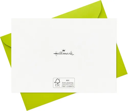 Vista 6 de Hallmark - Juego de tarjetas de cumpleaños divertidas (24 tarjetas en blanco con sobres) Chistes de comida, perro, pájaro, nutrias
