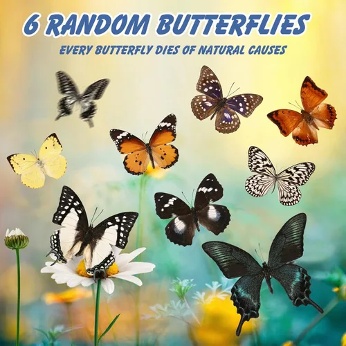 Vista 4 de WTUAWB 6 piezas de mariposa de taxidermia real – especímenes de producción creativa de bricolaje, animales de taxidermia para caja de sombra
