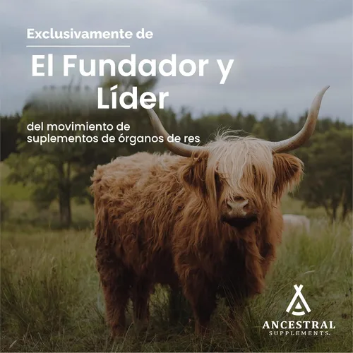 Vista 4 de Ancestral Supplements Suplemento de hueso vivo de carne de res alimentada con pasto, cápsulas de harina de hueso que apoyan la salud ósea, la salud