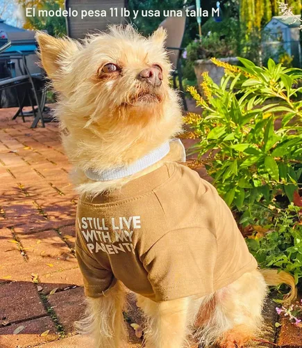 Vista 2 de Ropa linda para perro, camiseta para perros medianos y pequeños, niña y niño, cachorro. Disfraz suave y transpirable para mascotas, perros, gatos