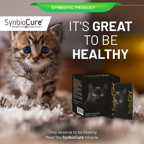 Vista 6 de I Probióticos y prebióticos para gatos I Polvo Suplemento para gatos I Apoyo a la salud digestiva I 200 mil millones de bacterias por bolsita I 30