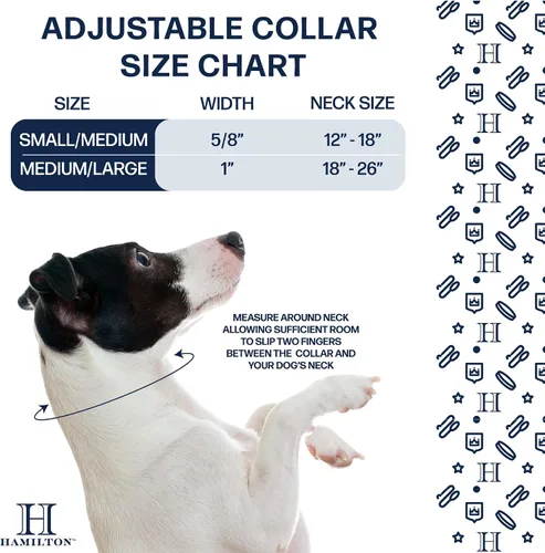 Vista 2 de Hamilton Collar de perro con hebilla de nailon doble grueso para perros medianos y grandes, cuello de 1 pulgada de ancho x 20 pulgadas, camuflaje