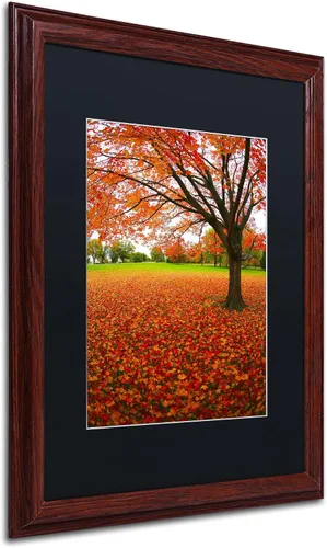 Vista 2 de Autumn Expressions Black Matte Artwork by CATeyes, 16 x 20 pulgadas, marco de madera