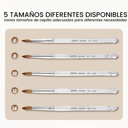 Vista 8 de PANA Pure Kolinsky Cepillo de uñas acrílico con mango de madera - forma redonda Transparente