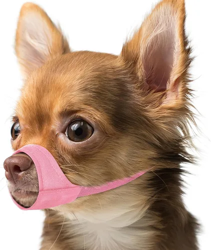 Vista 9 de Mayerzon Bozal de Hocico Corto para Perros, Bozal Pequeño para Chihuahua Shih Tzu American Bully Boxer Cachorro, Cubierta Bucal de Tela Suave