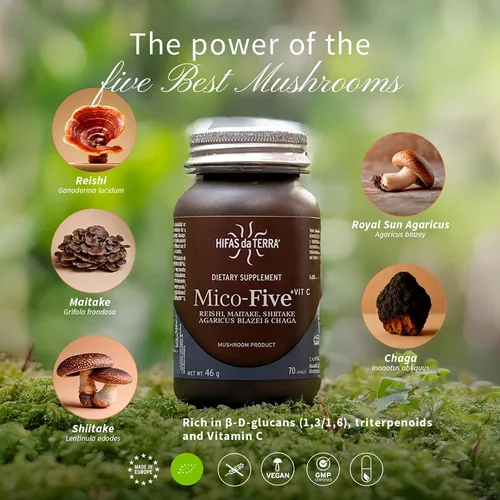 Vista 4 de HIFAS DA TERRA Mico-Five - Cápsulas complejas de hongos - Suplemento de apoyo inmunológico - Mezcla de extracto de Reishi, shiitake, maitake, chaga