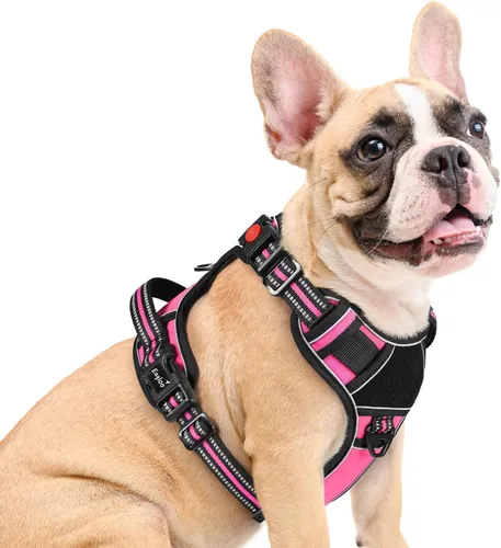 Vista 25 de Eagloo Arnés para perro de tamaño pequeño, fácil de llevar con 3 hebillas, arnés ajustable sin tirones para mascotas con sistema MOLLE, chaleco