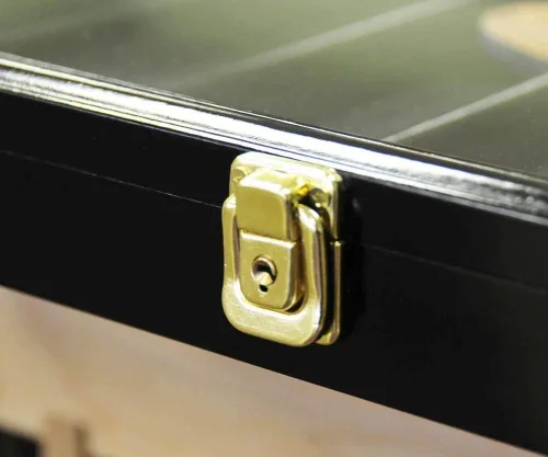 Vista 2 de sfDisplay.com,LLC. Vitrina de violín para armario de pared con protección UV, con cerradura, roble