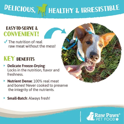 Vista 5 de Raw Paws Cuellos de pollo liofilizados para perros y gatos (4 onzas) – Fabricado en Estados Unidos – Golosinas crudas liofilizadas para perros